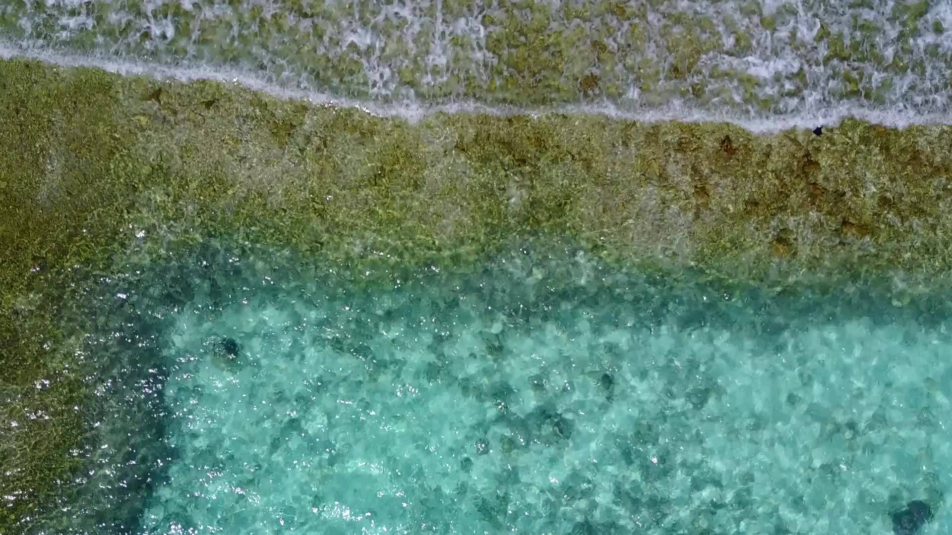 沙洲附近有明亮的沙色背景蓝色的海洋和异国情调的海滩度假阳光视频的预览图