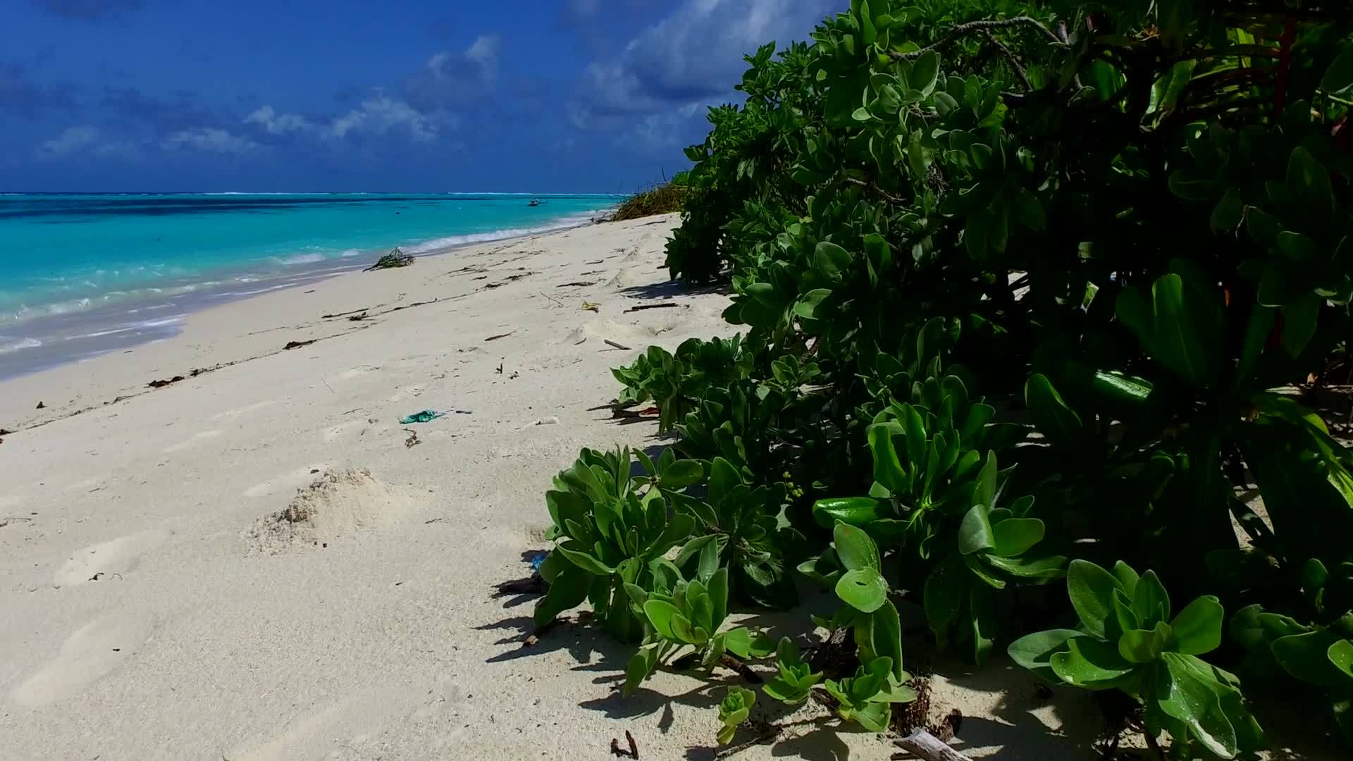 珊瑚礁附近的蓝色泻湖呈现出异国情调的岛屿海滩视频的预览图