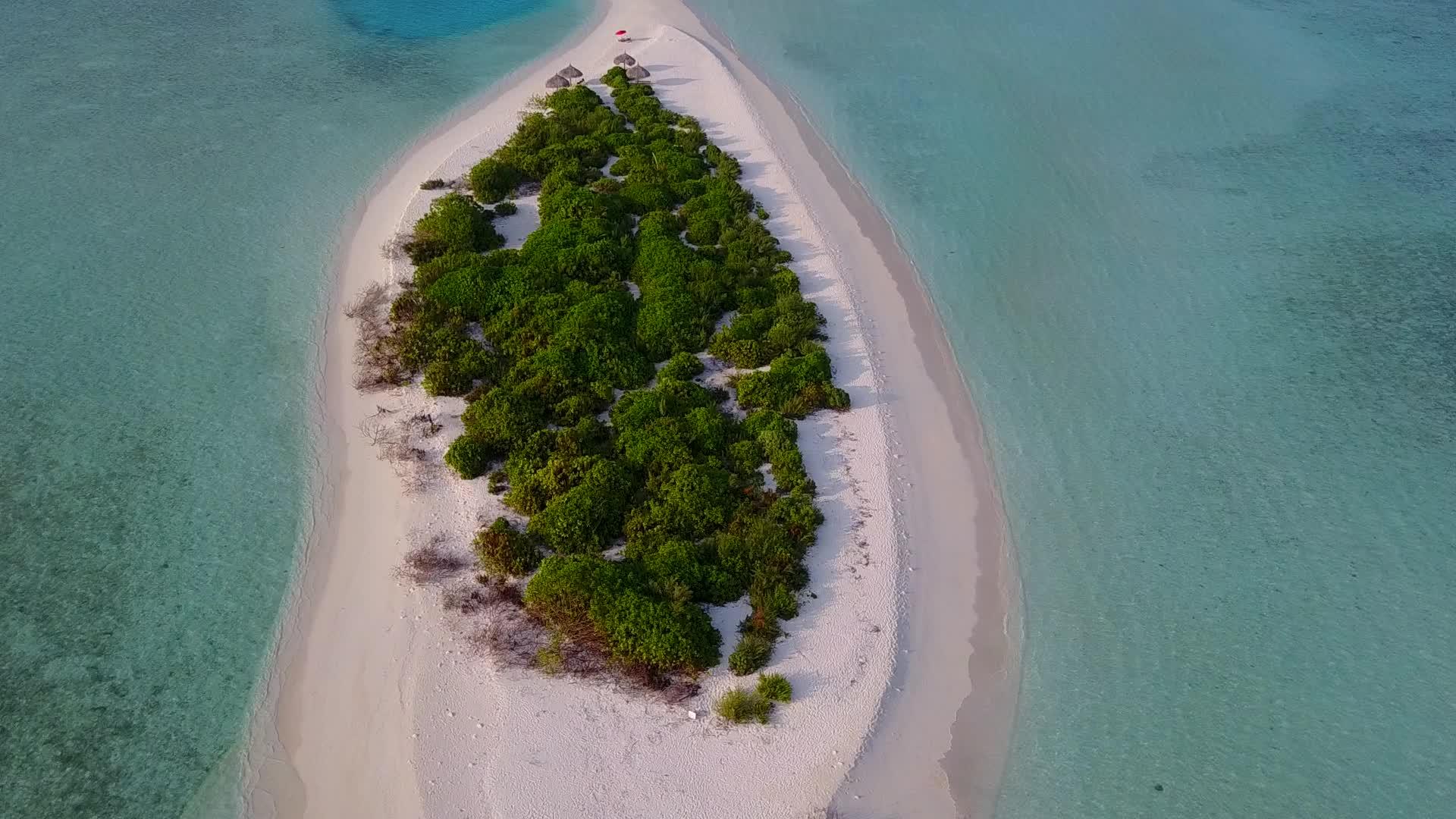 以阳光中白沙底的蓝水为例夏天自然是完美的环礁湖视频的预览图