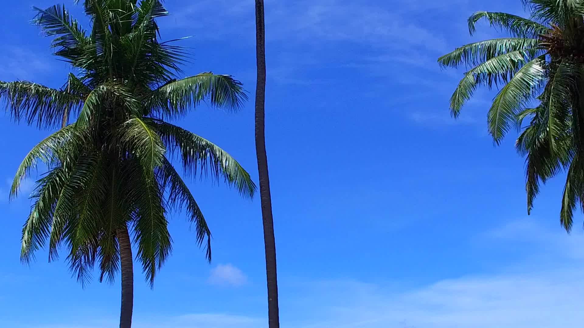 通过观察棕榈树附近白色沙滩背景的透明海洋白色海洋视频的预览图