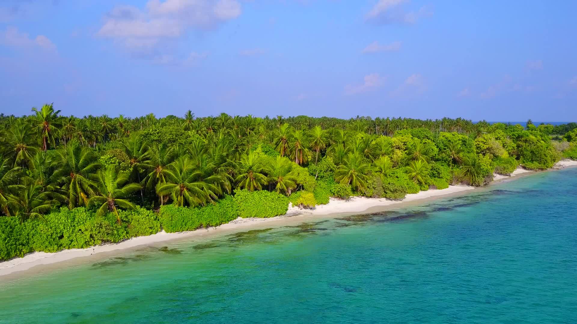 棕榈树附近的浅水和白沙背景的浅水是美丽的海岸海滩视频的预览图