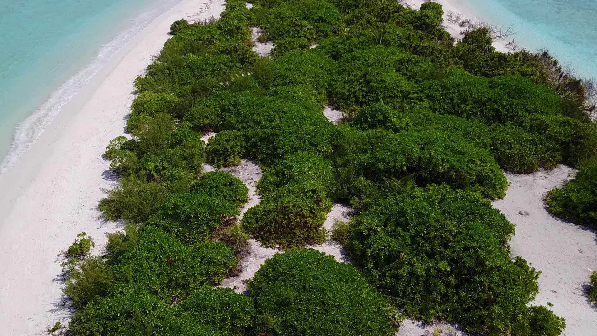 海滩野生度假胜地通过明海和棕榈树附近的清洁沙地背景视频的预览图