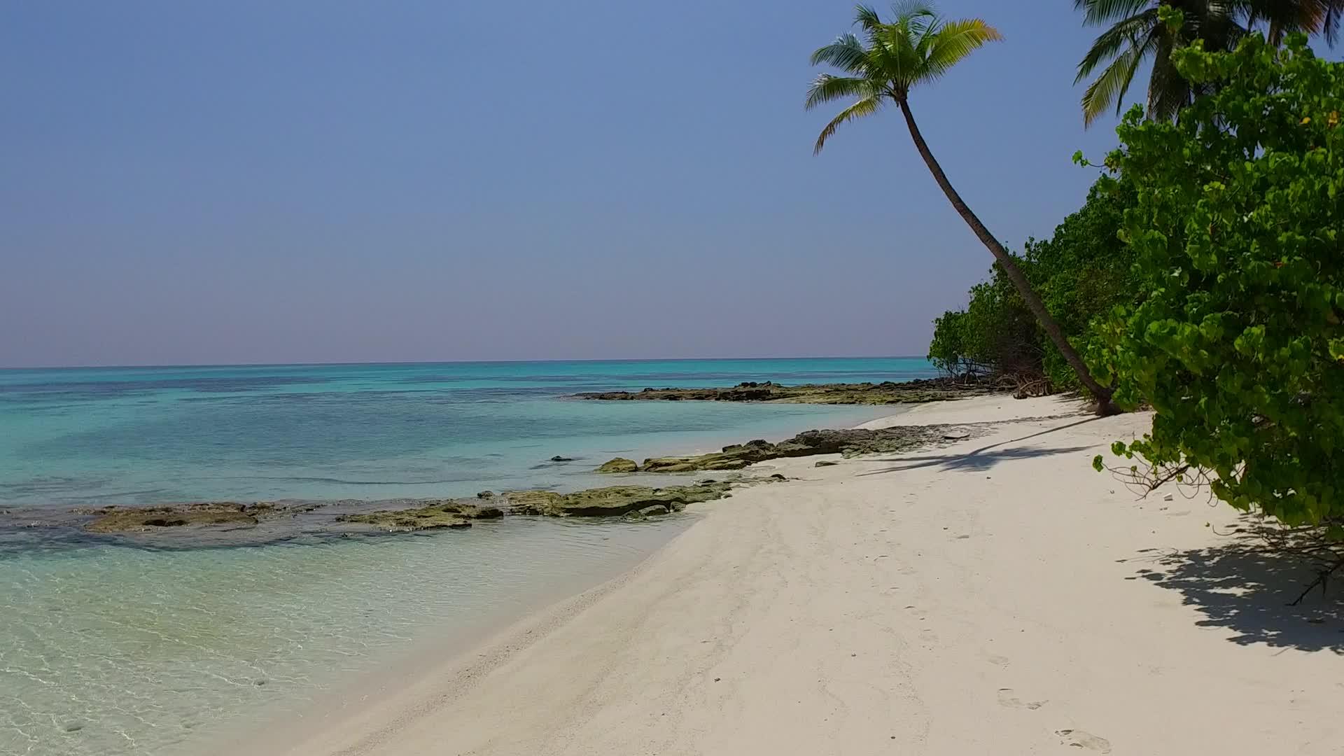 棕榈树附近透明的大海和白沙背景的豪华岛屿海滩度假日视频的预览图