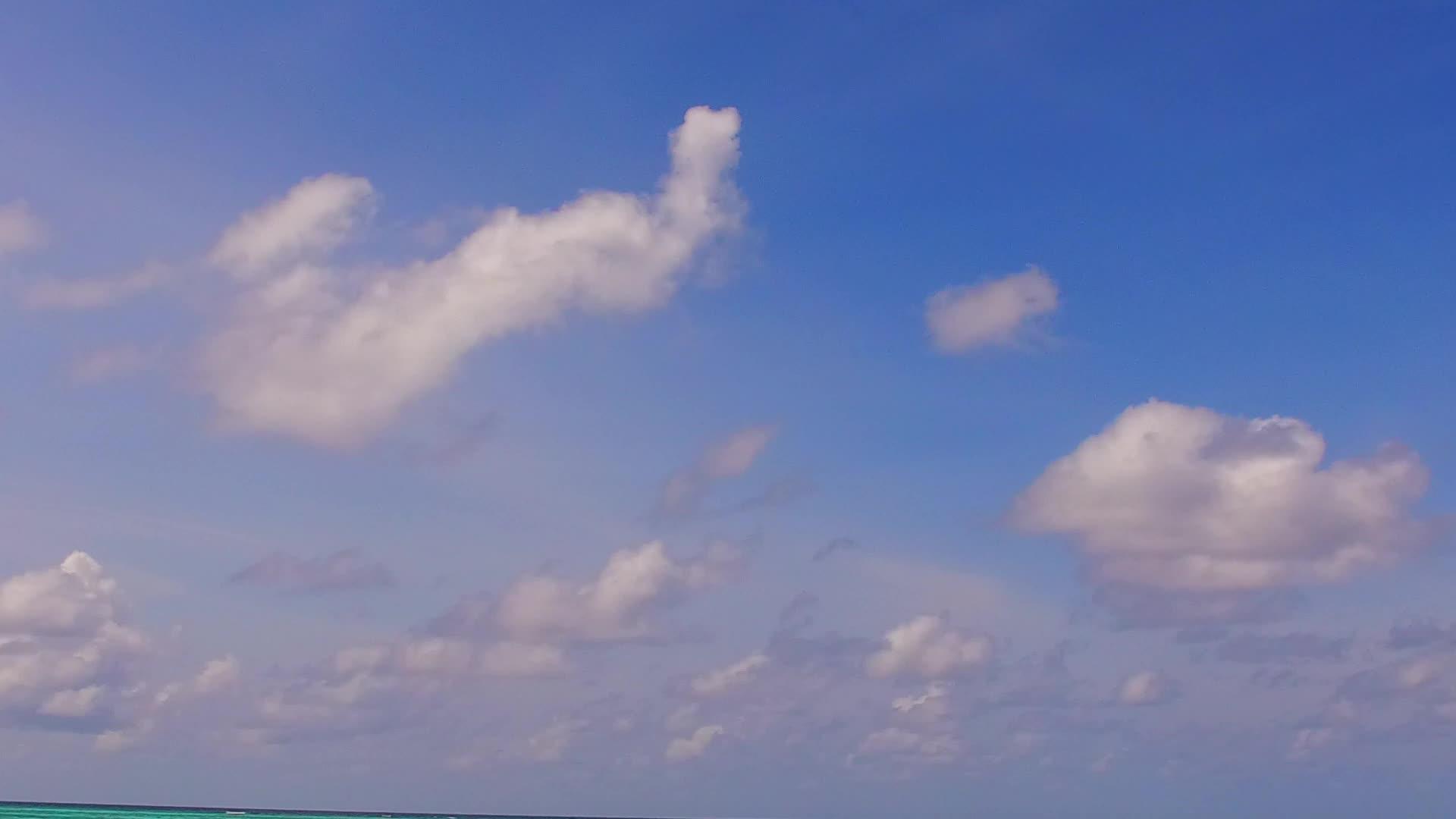 白沙背景在海上环礁湖海滩野生动物度假胜地附近视频的预览图