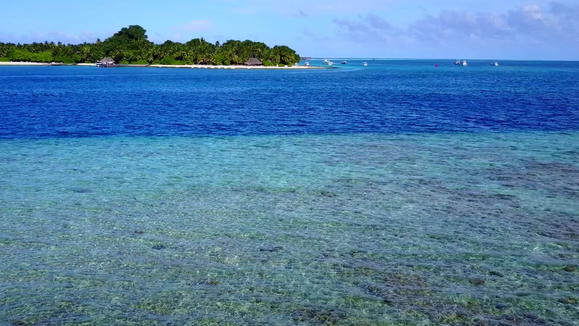 复制棕榈树附近的白色海滩背景的蓝绿色海洋轻松旅行海滩之旅视频的预览图