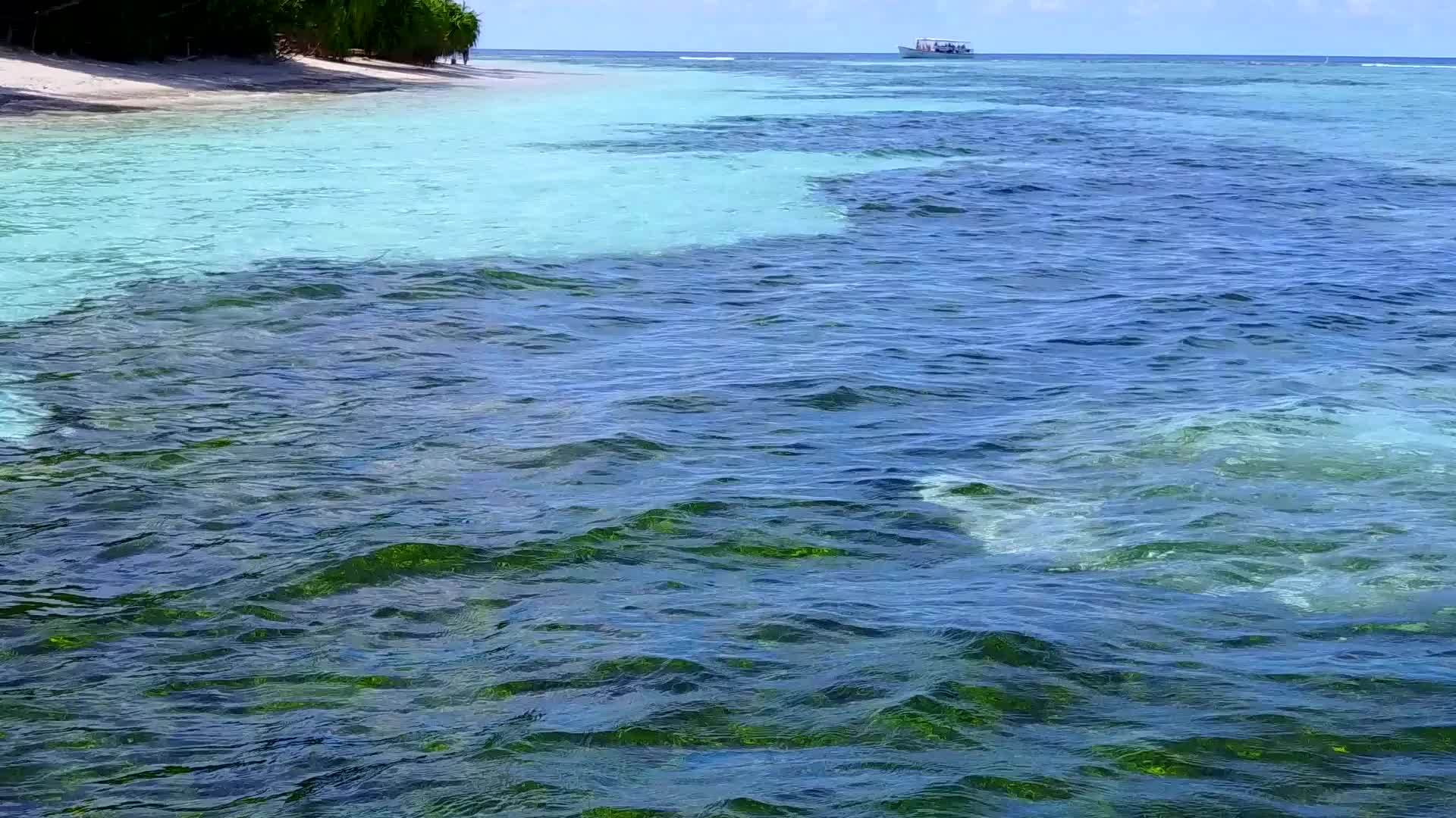 热带环礁湖海滩的背景是透明的海洋和棕榈树附近的白色海滩视频的预览图