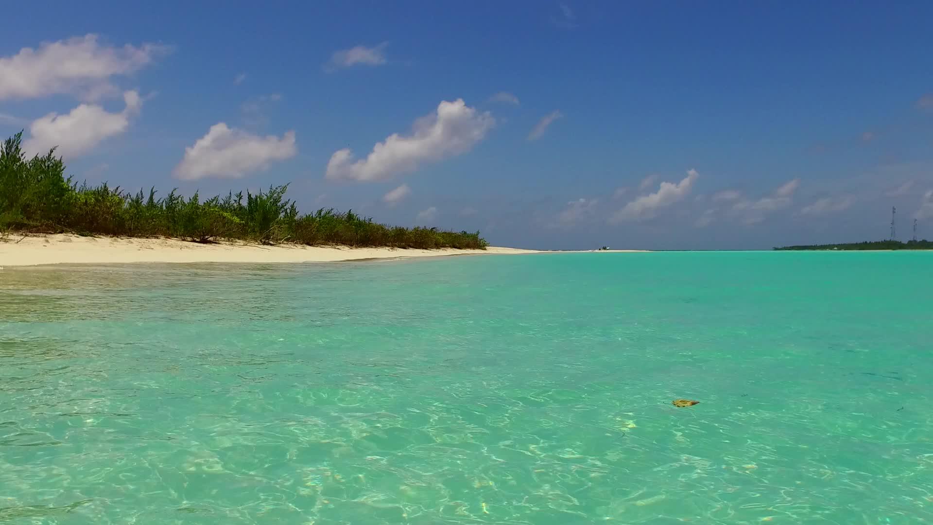 松绿环礁湖棕榈树附近有明沙背景在海滩上有一个安静的度假胜地视频的预览图