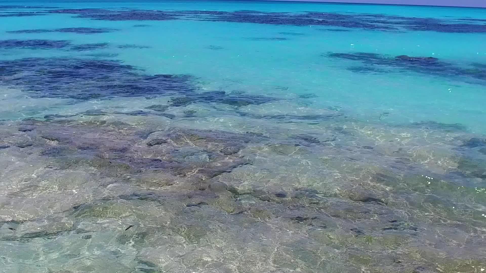 热带旅游海滩以蓝海和海滩附近的白沙土为背景以蓝海为生视频的预览图