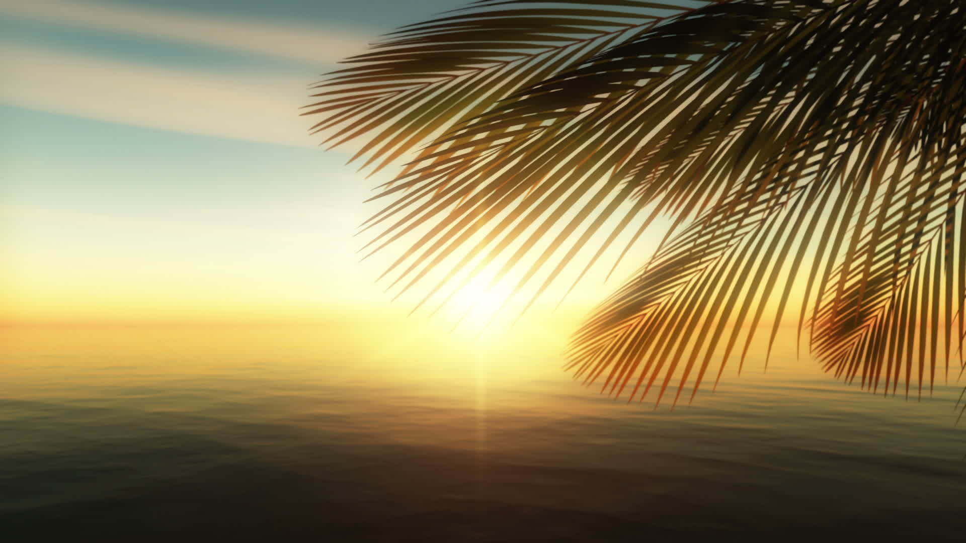 棕榈夏季时间视频的预览图
