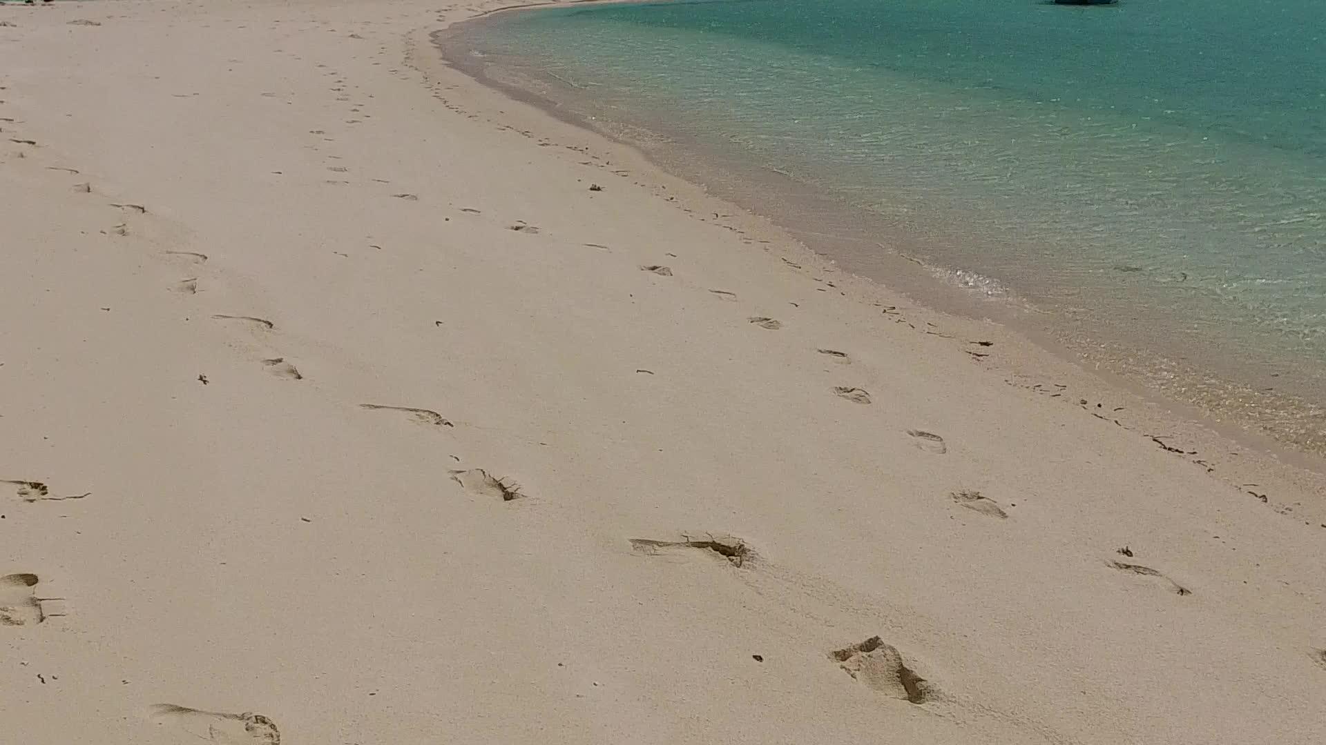 棕榈树附近有明亮的沙质背景透明的泻湖美丽的海岸海滩航行视频的预览图