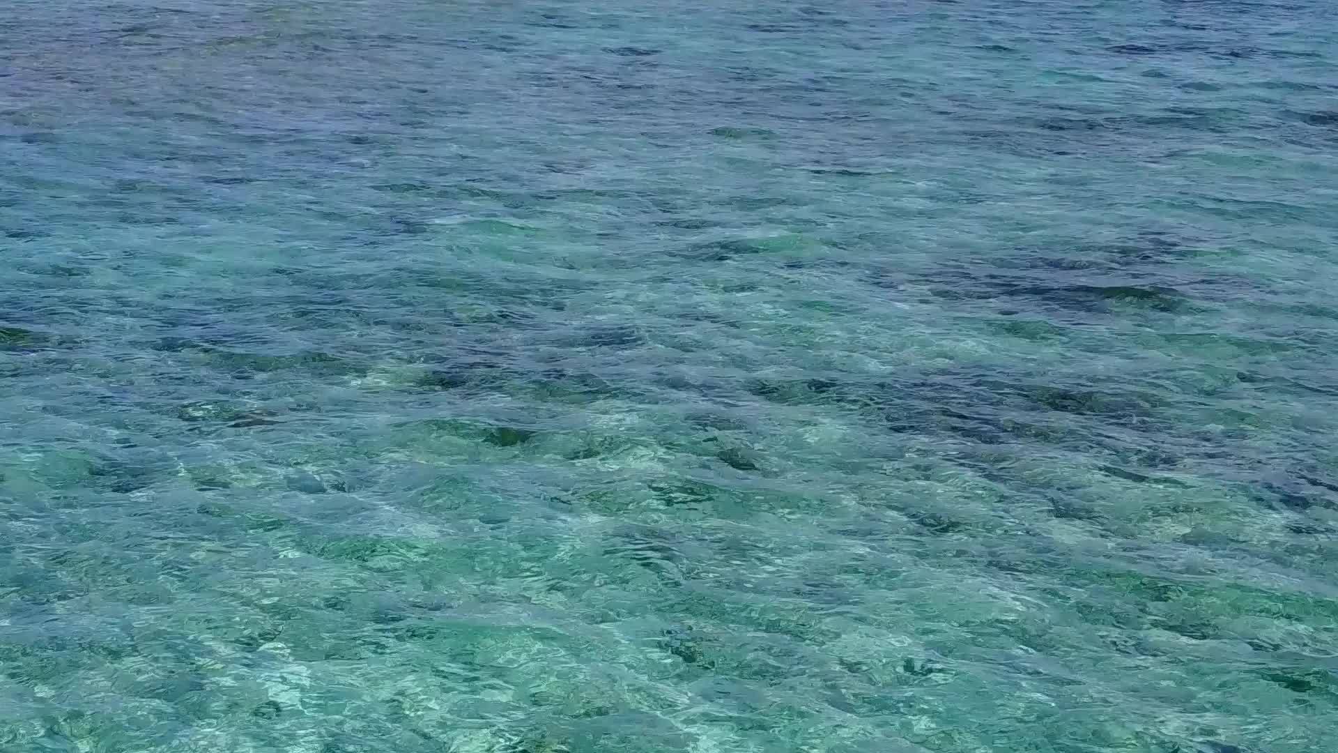 蓝色环礁湖和棕榈树附近的浅沙底明亮的蓝色海滩豪华海滩度假日视频的预览图