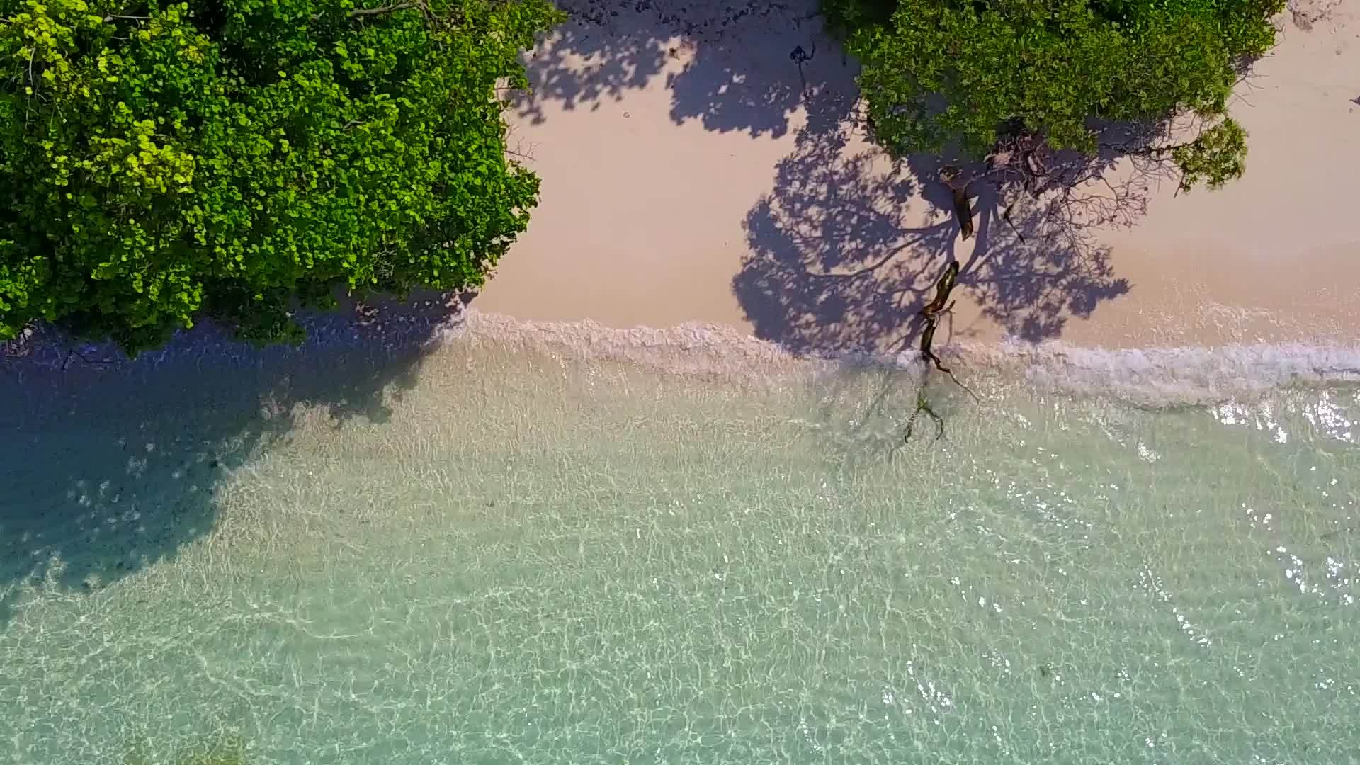 豪华水和白色海滩的背景下豪华的海岸海滩生活方式是开放的视频的预览图
