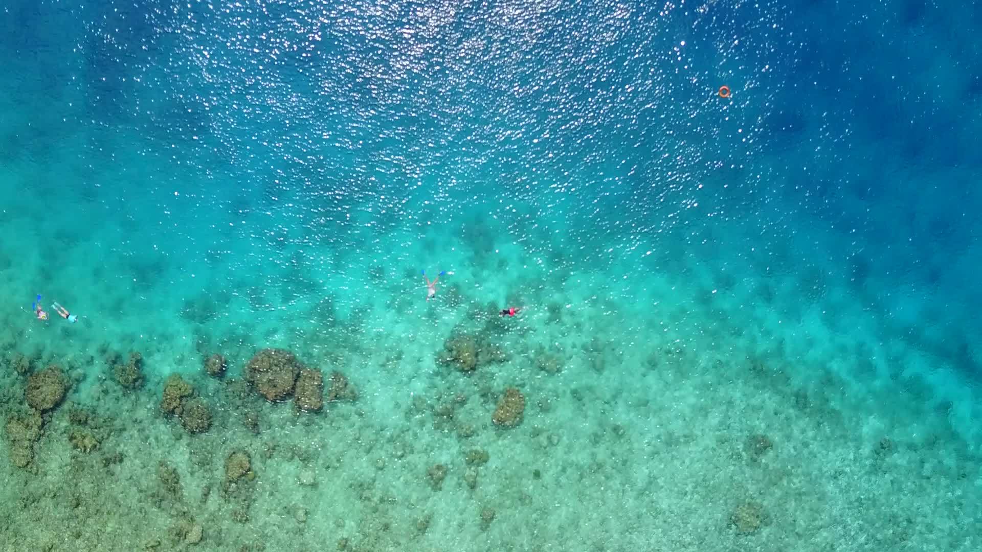 珊瑚礁附近的透明水和白色海滩背景具有完美的海岸线海滩背景视频的预览图