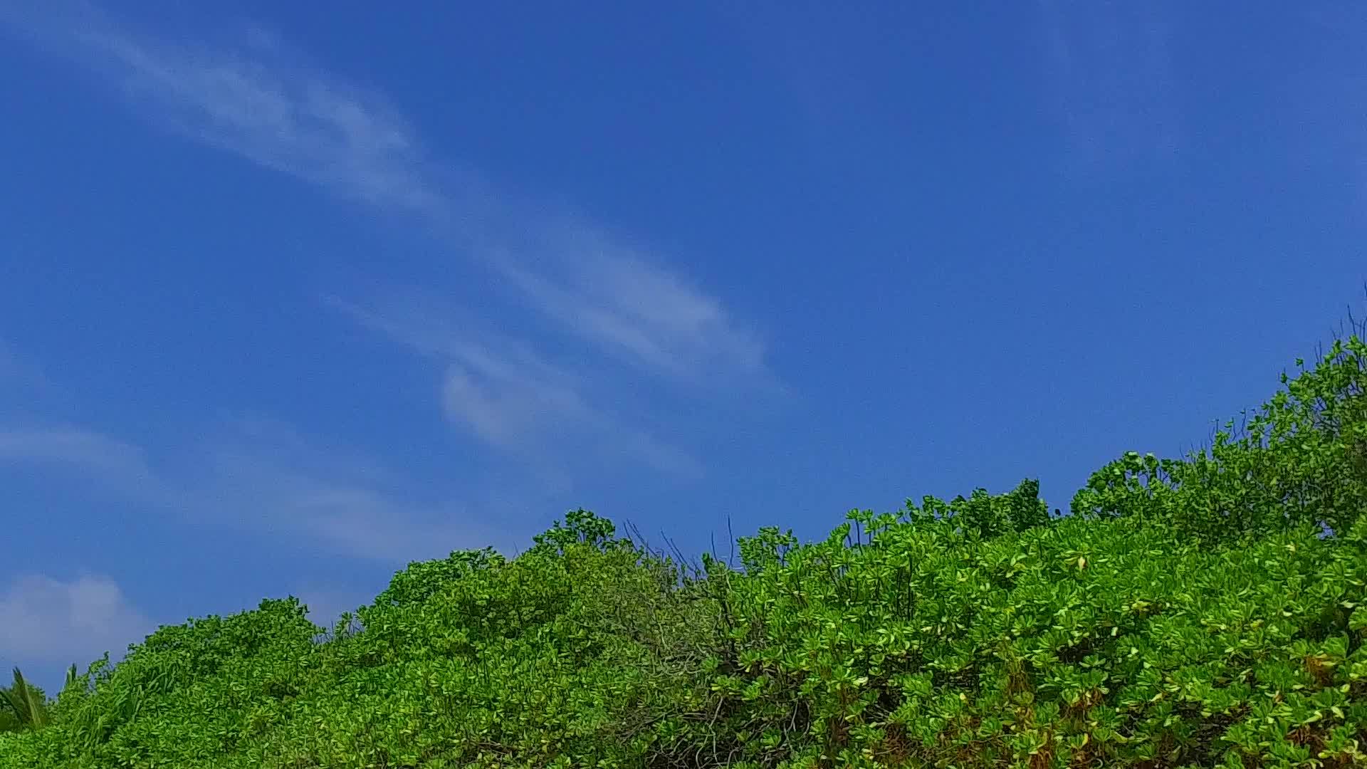 沙洲附近的白沙背景蓝海外国旅游海滩野生动物广角海景视频的预览图