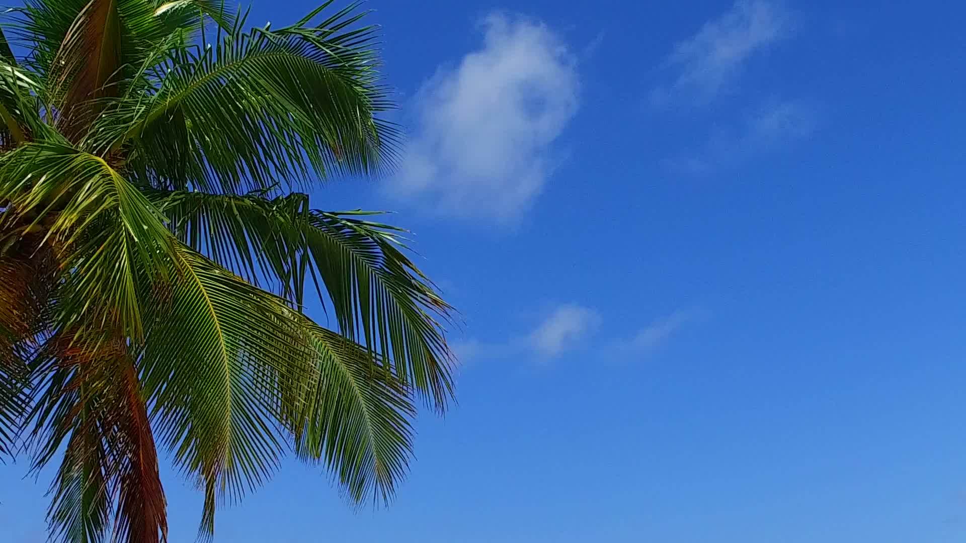 寒水、蓝水和日落前的白色沙滩背景视频的预览图