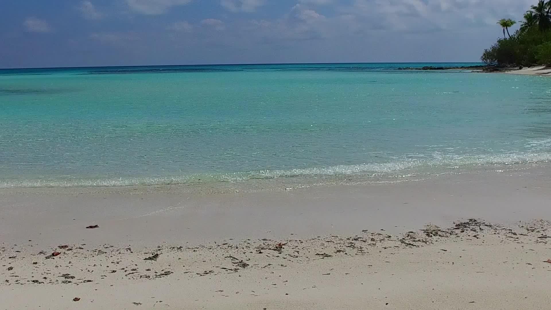 在棕榈树附近的蓝绿色海洋和白色沙滩上旅行视频的预览图