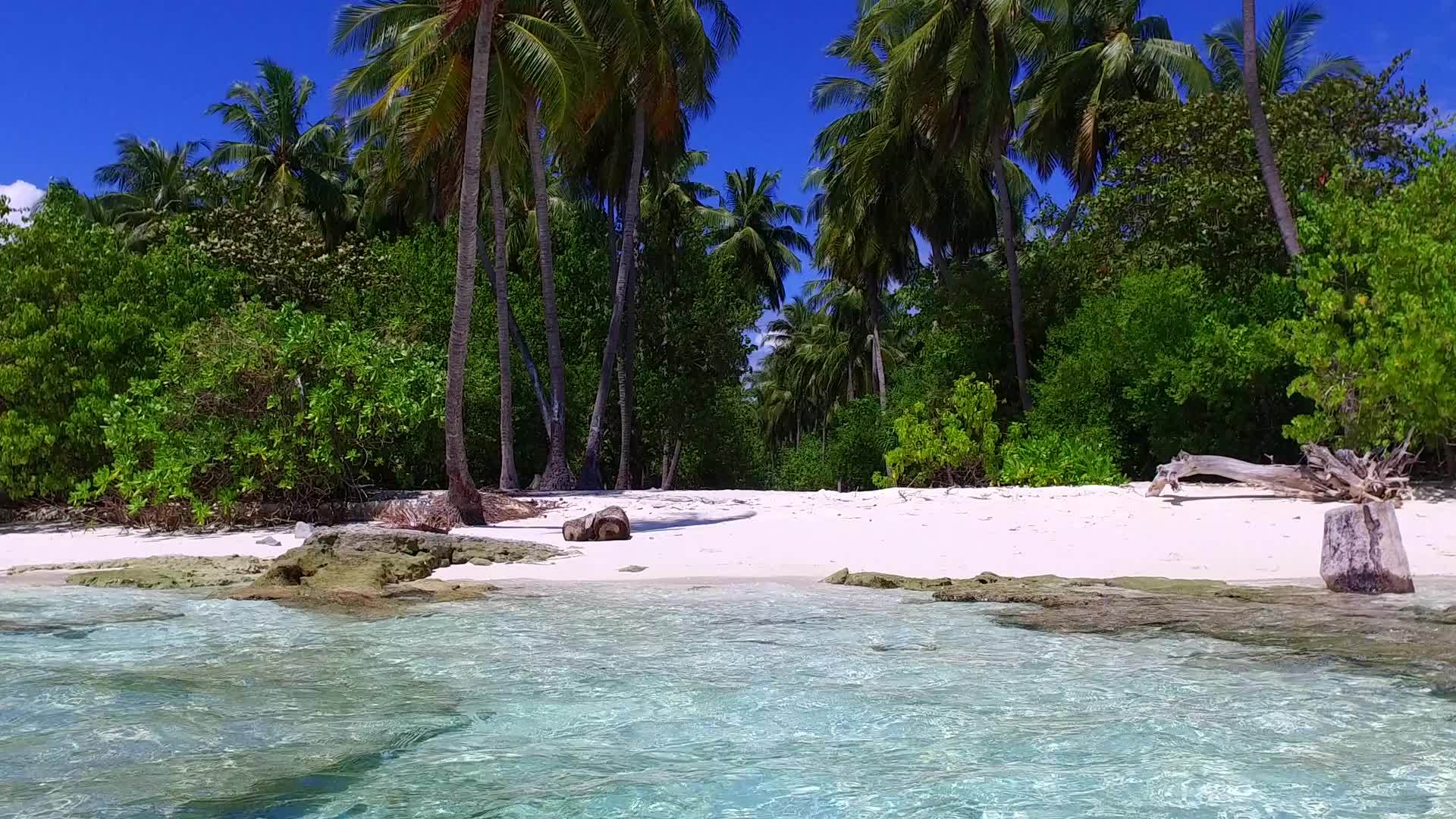 阳光下清澈的海洋和干净的沙滩背景下美丽的旅游时光视频的预览图
