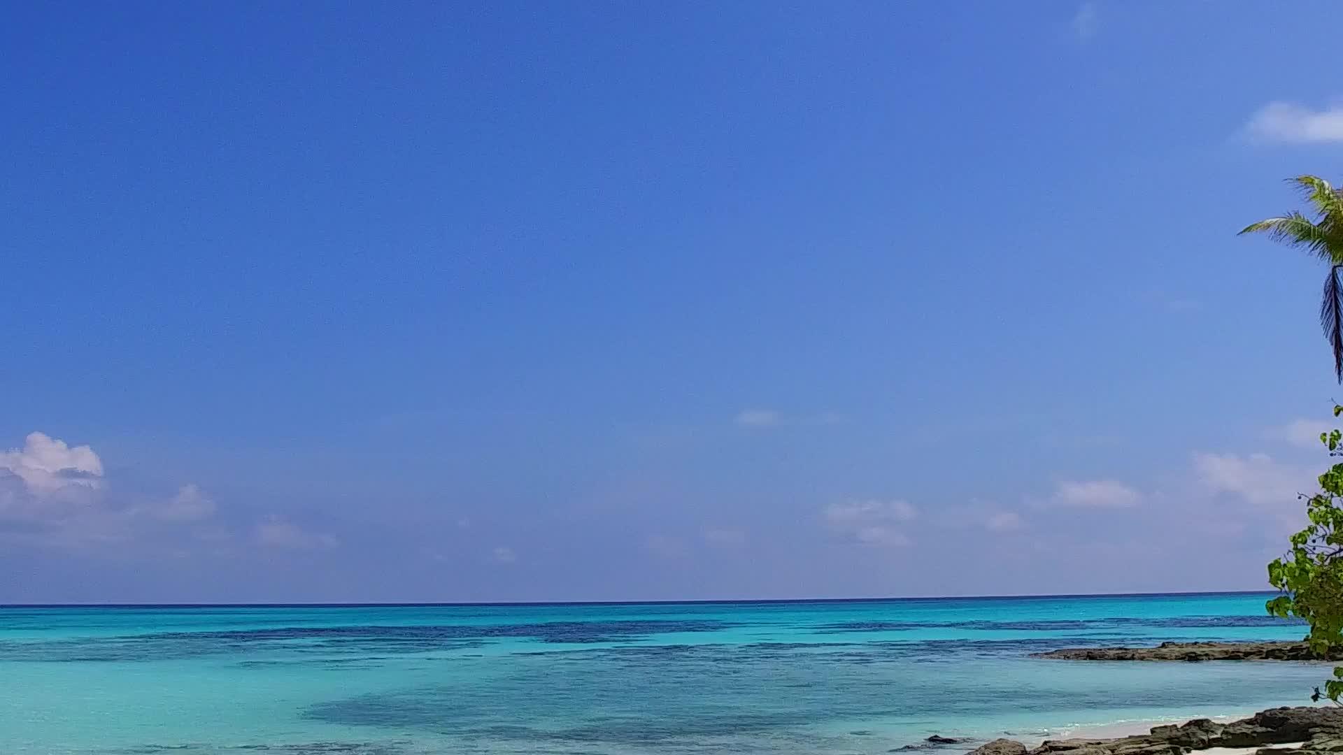 完美的岛屿海滩背景是海蓝环礁和棕榈树附近干净的海滩背景视频的预览图