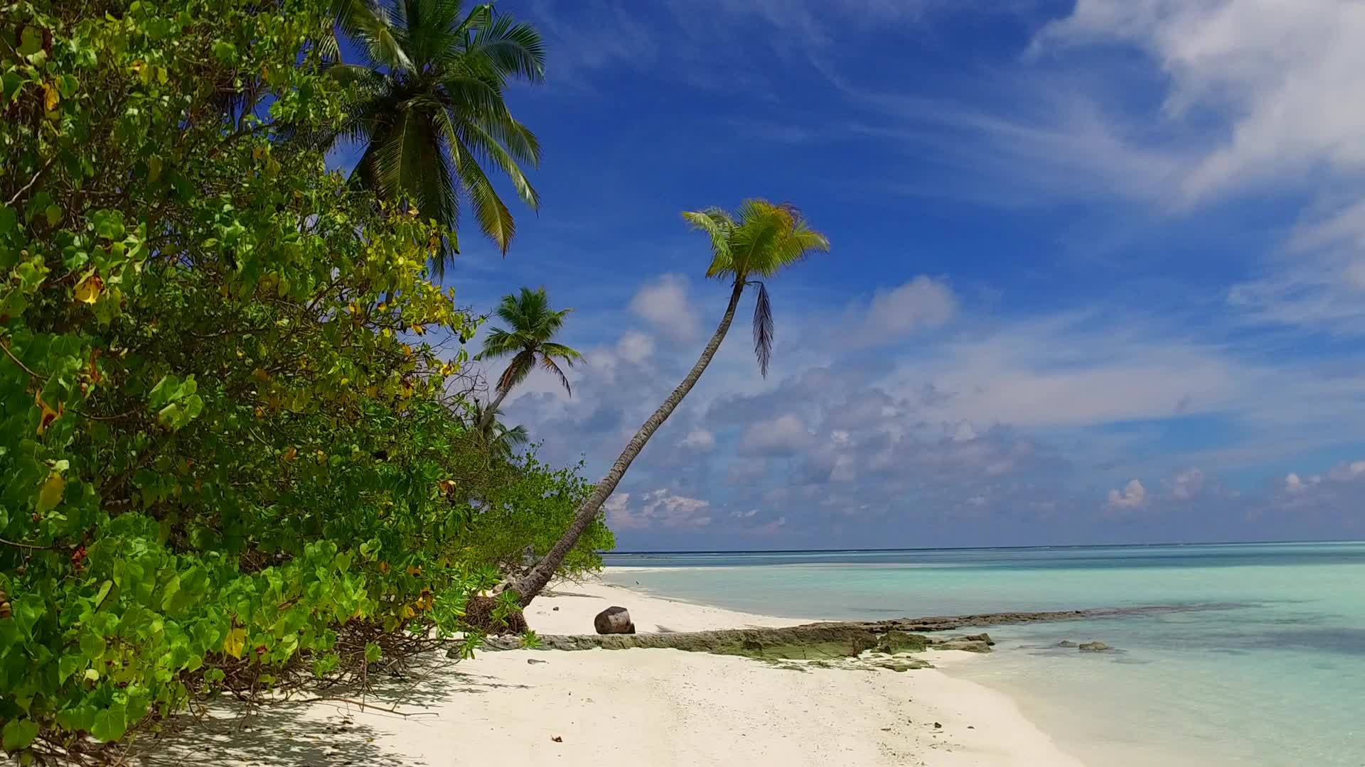 清澈的海洋和棕榈树附近的白色沙滩背景美丽的海岸线海滩时间视频的预览图