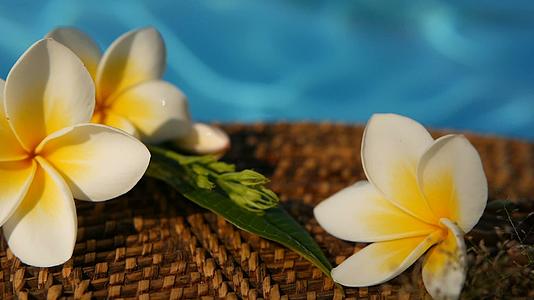 蓝色游泳池水面上的热带异国花朵视频的预览图