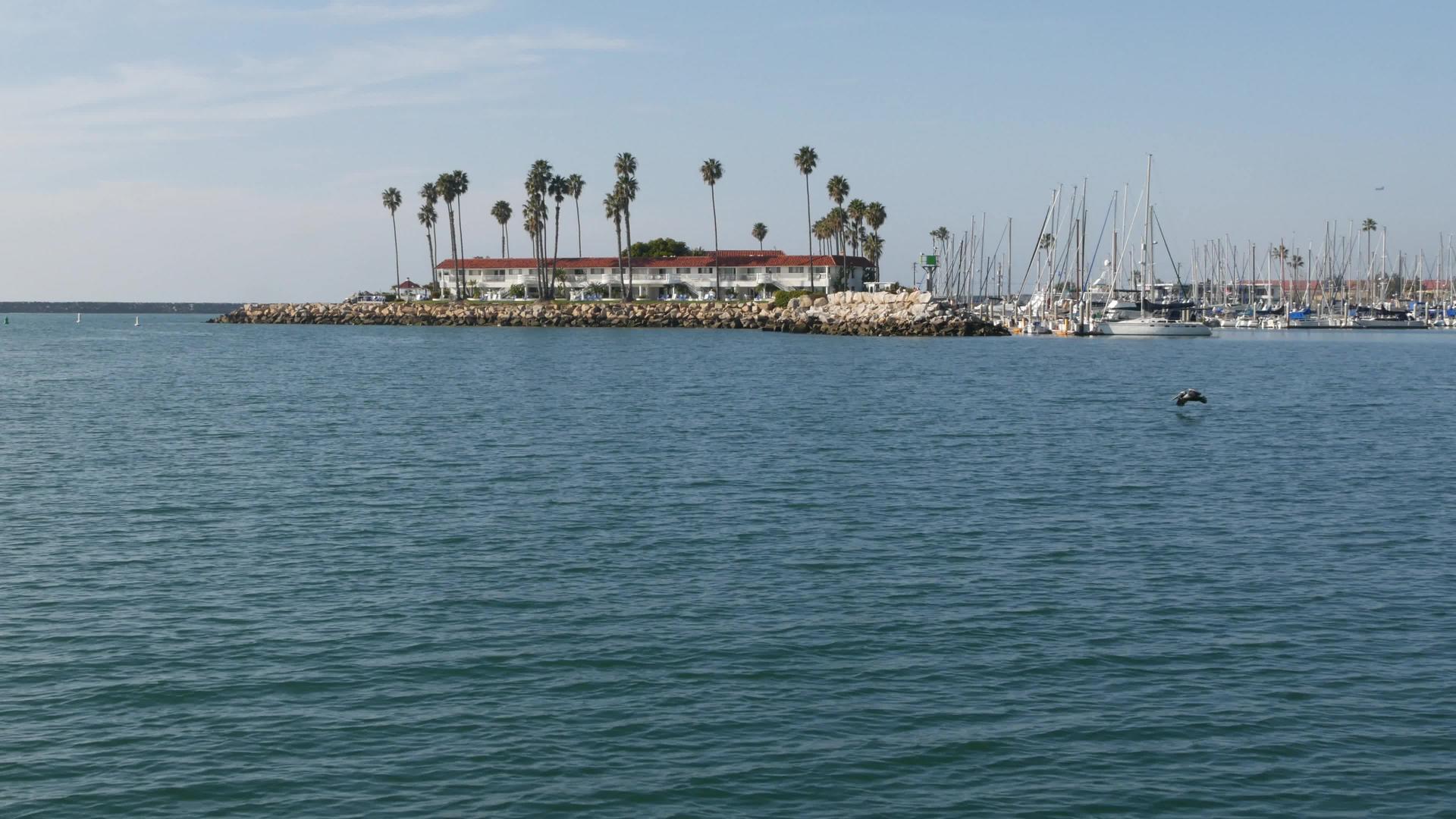 帆船或游艇在海滨港口航行加里福尼亚夏季假期usa从帆船视频的预览图