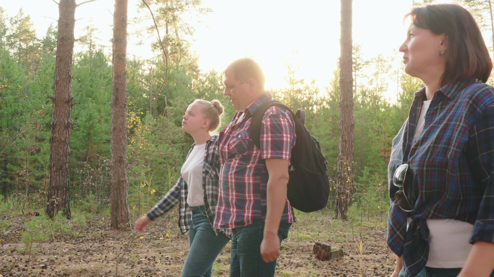 在日落的背景下旅行家庭在夏天远足时在松林中散步视频的预览图