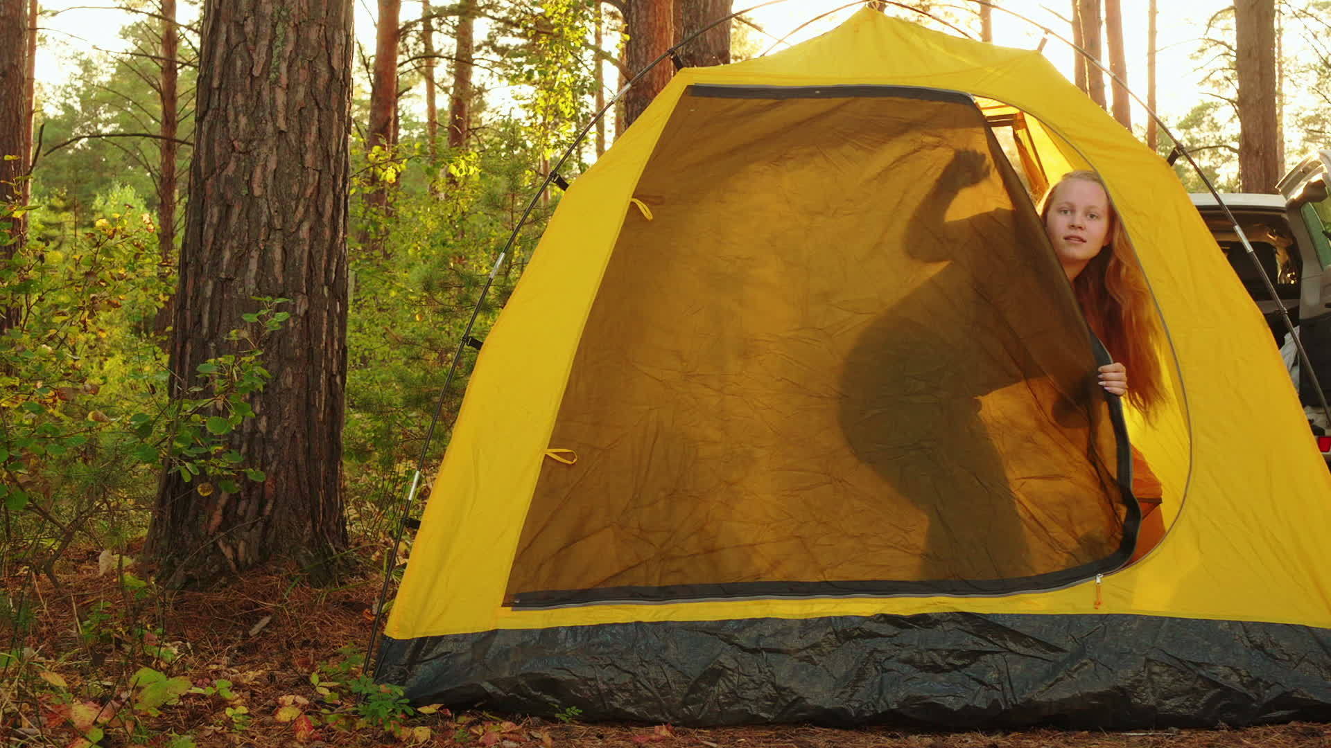 旅游家庭在阳光明媚的森林露营帐篷中醒来背景是早晨日出视频的预览图