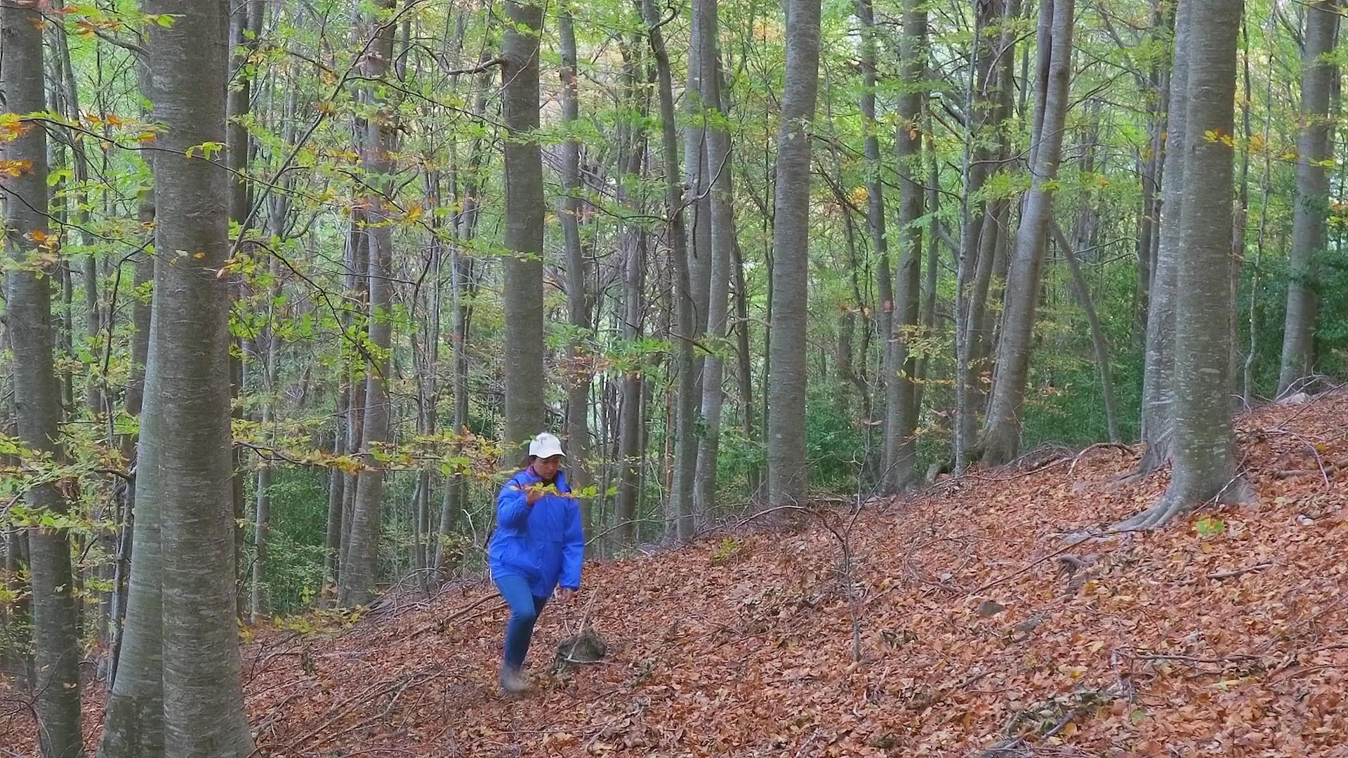 秋天年轻的女性游客在山脚林中行走视频的预览图