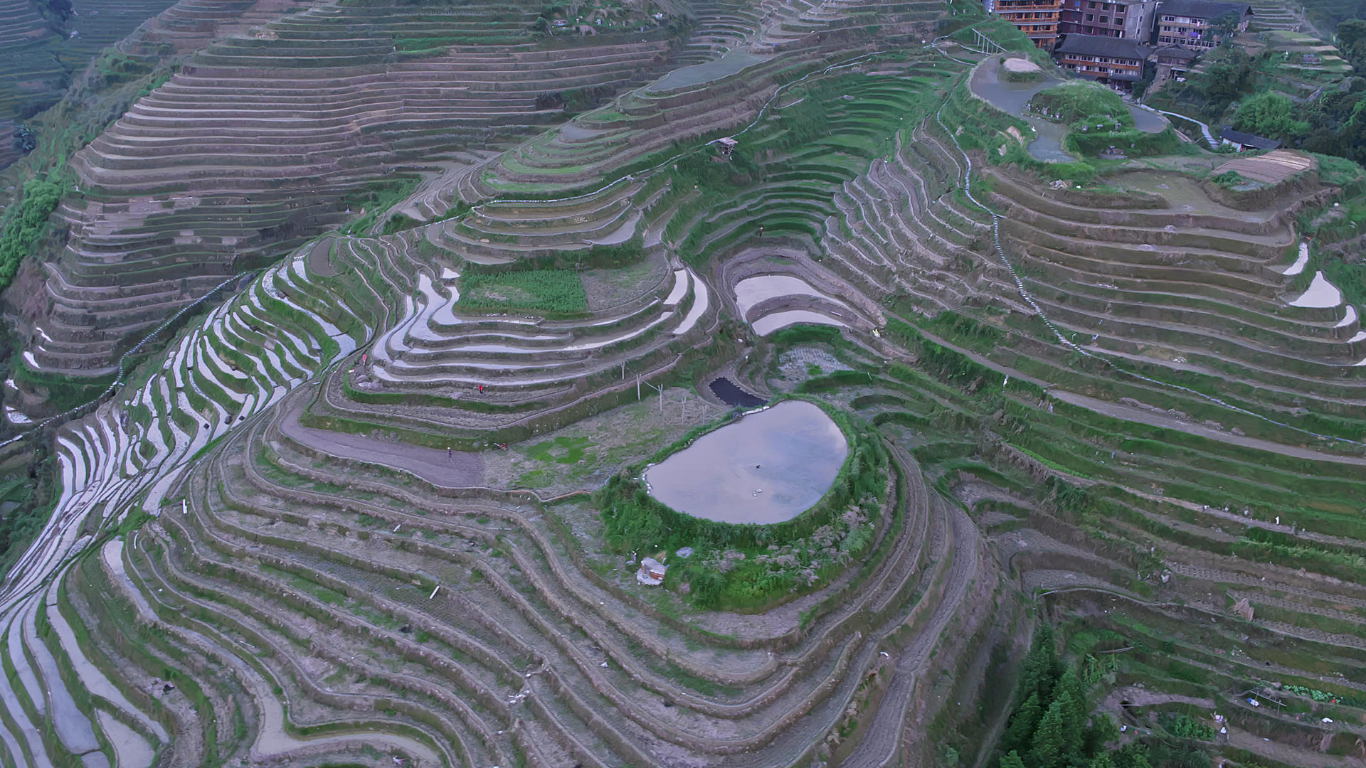 桂林龙脊梯田鸟瞰航拍视频的预览图