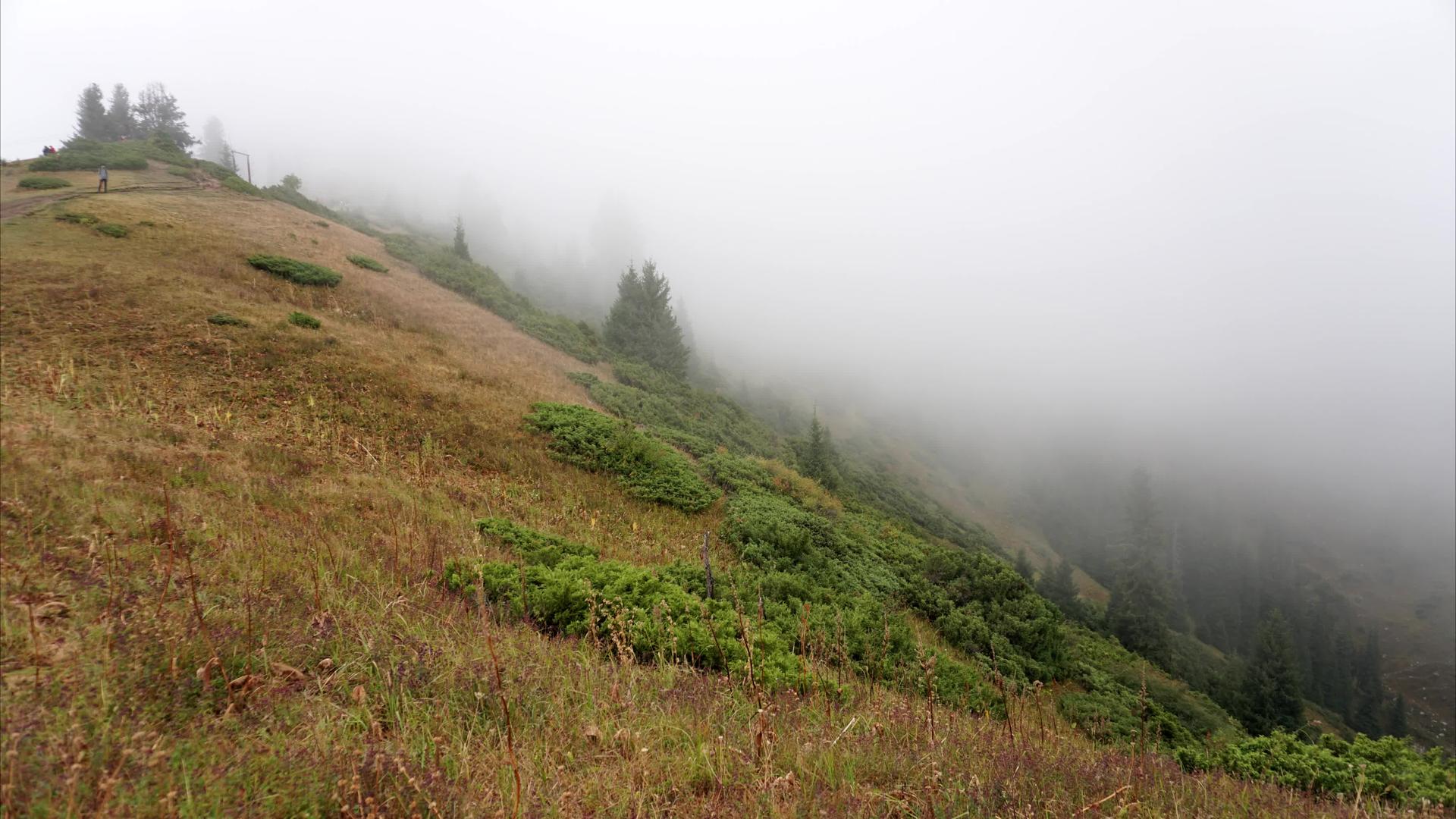 森林和山脉之间的雾消失了视频的预览图