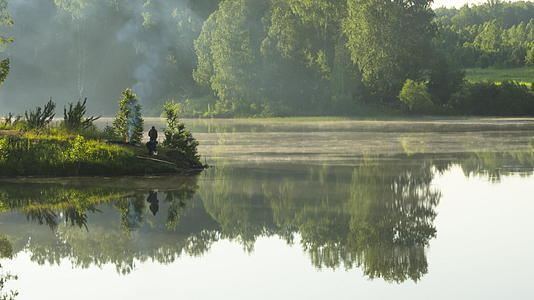 清晨在森林湖美丽视频的预览图