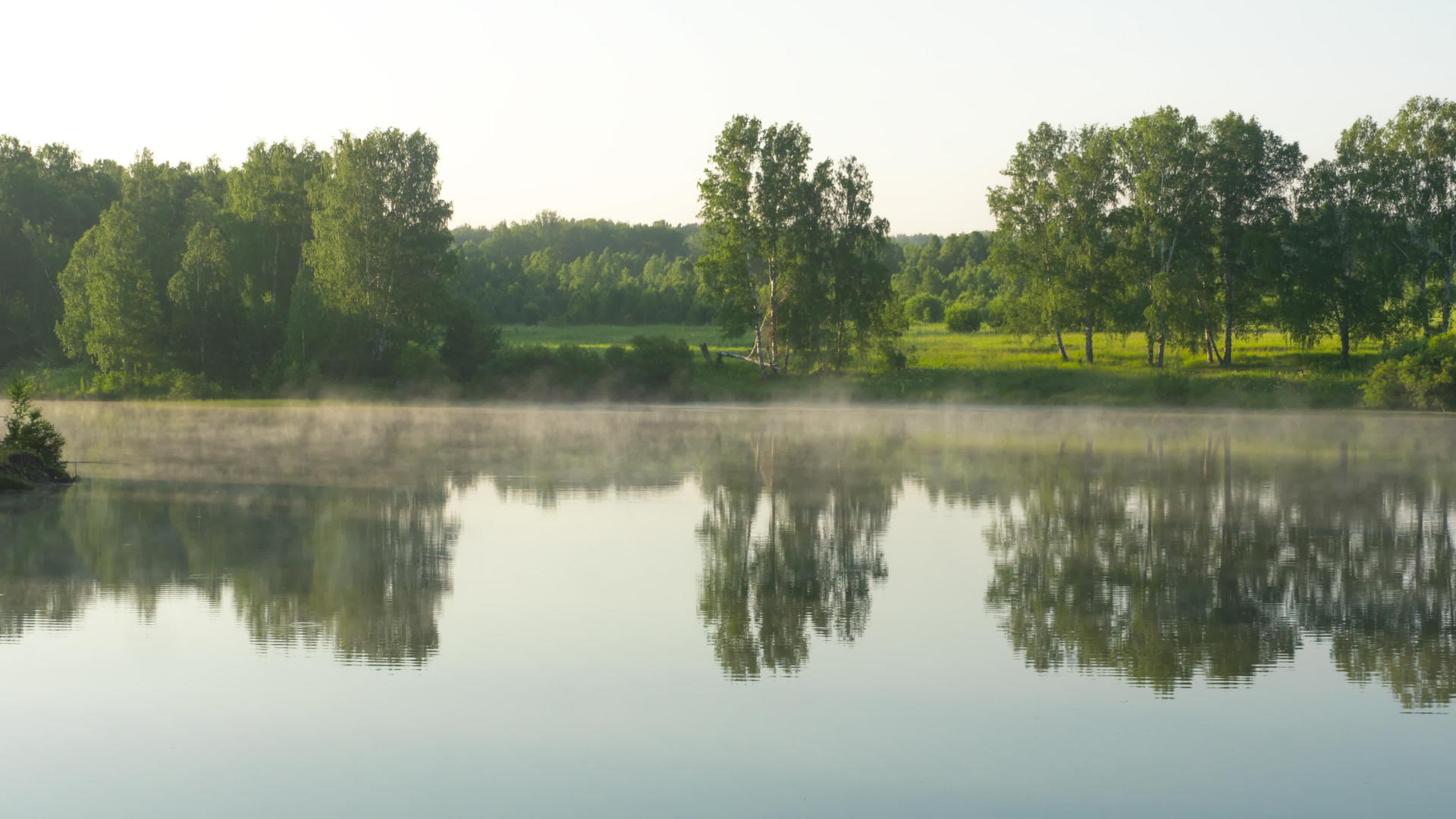 清晨在森林湖美丽视频的预览图