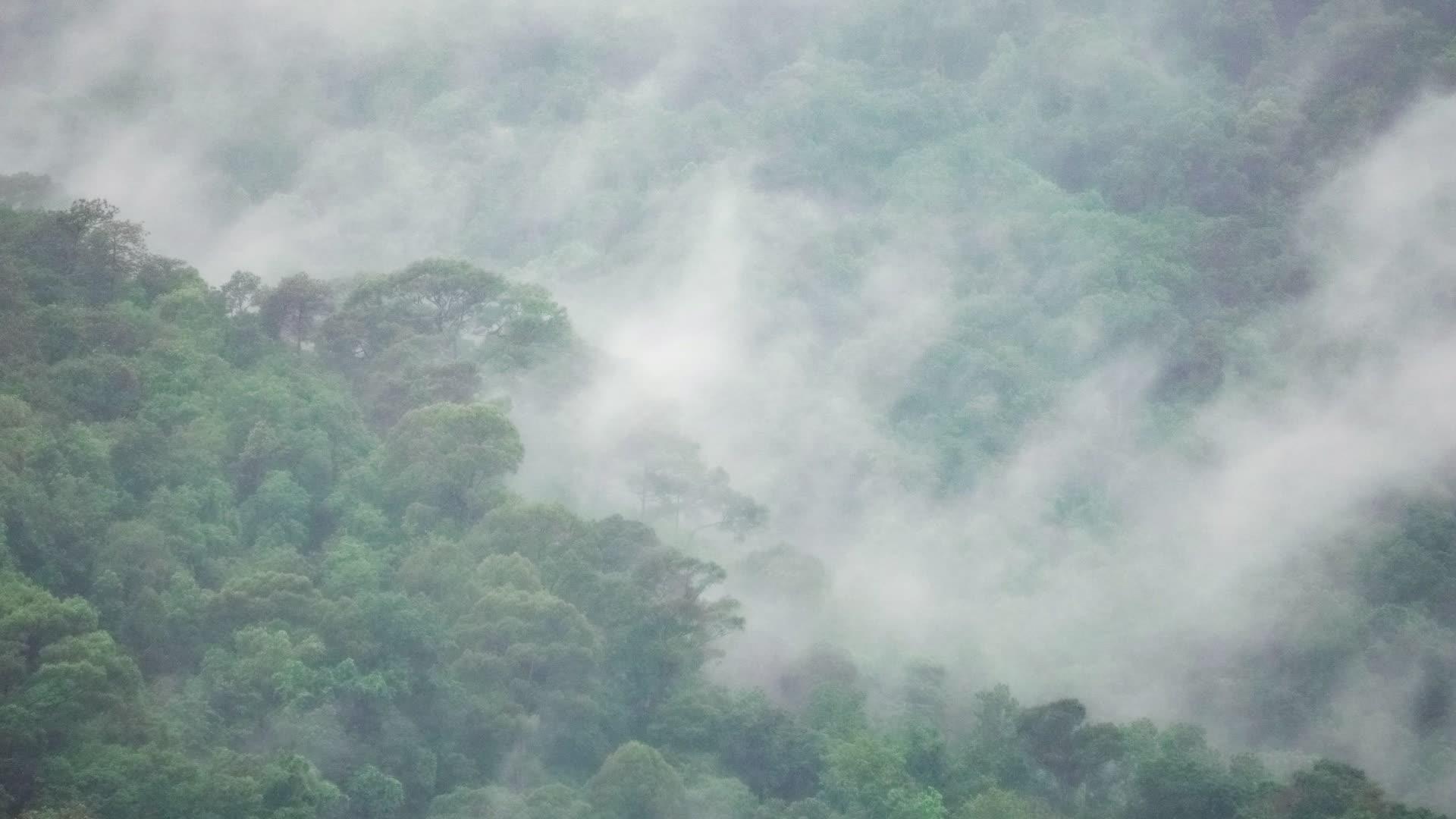 雨季雨云覆盖热带森林山区马奇亚马尼岛chiangmai视频的预览图