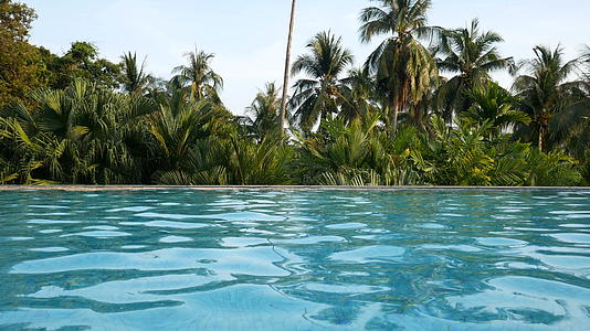4k海滩附近游泳池的休闲度假背景是椰子棕榈树视频的预览图