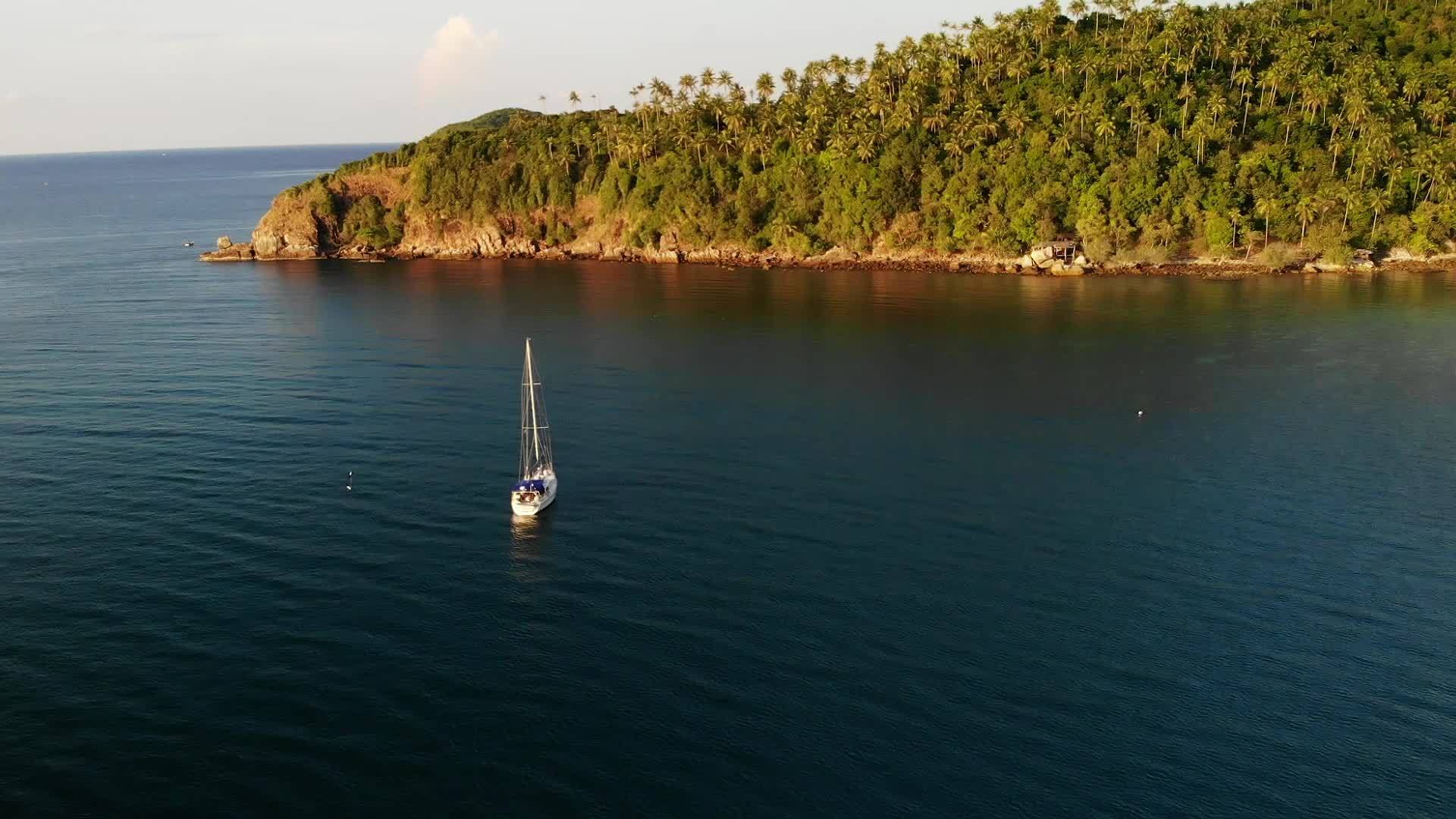 现代白色豪华游艇靠近热带海岸视频的预览图
