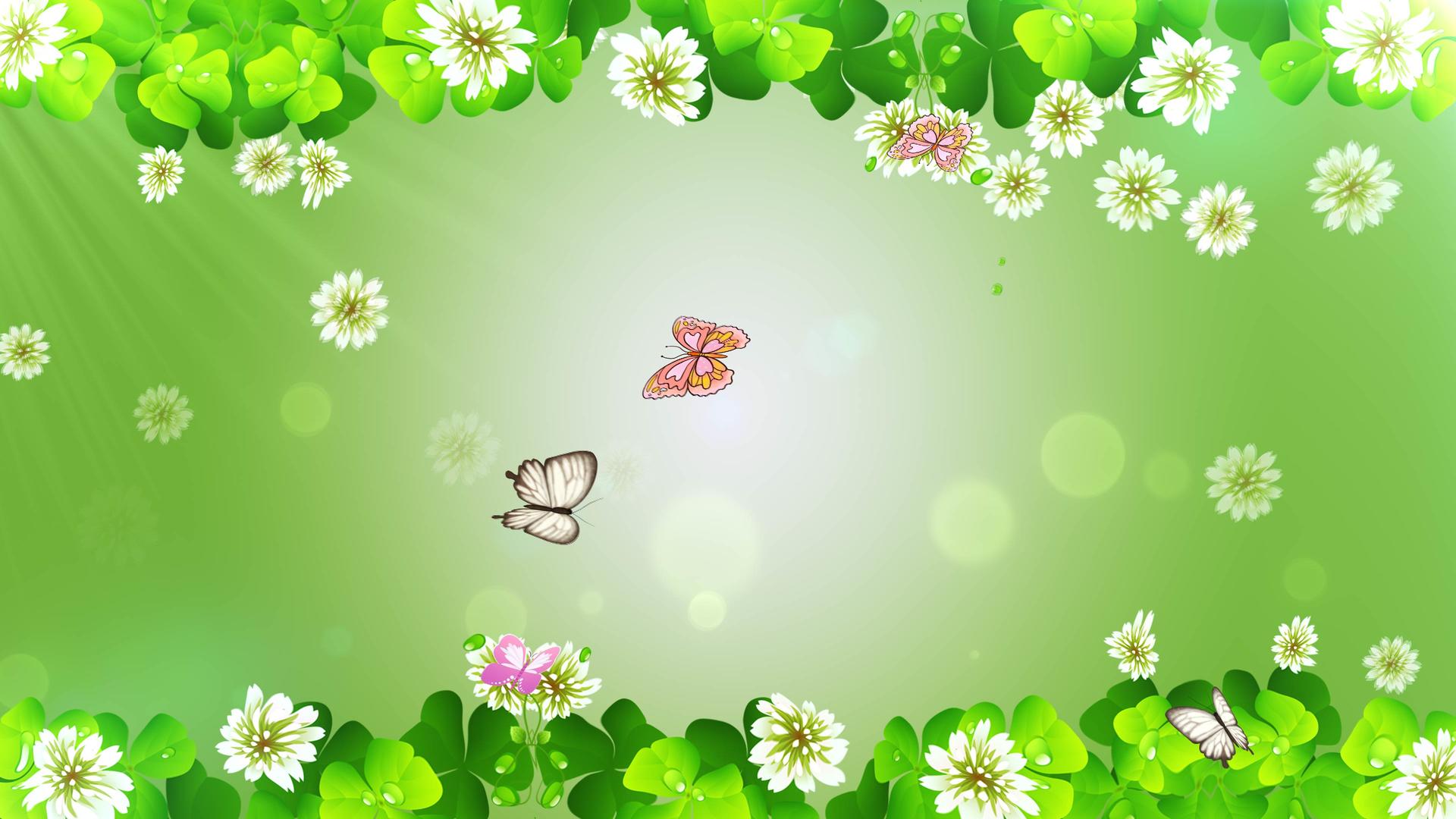 清新明亮的蝴蝶绿叶花春天背景视频的预览图