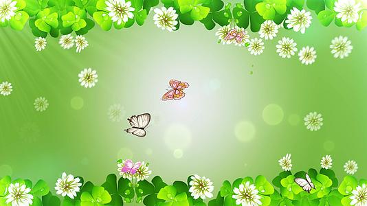 清新明亮的蝴蝶绿叶花春天背景视频的预览图