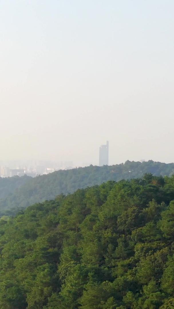 广西南宁5A旅游景点青秀山龙像塔视频的预览图