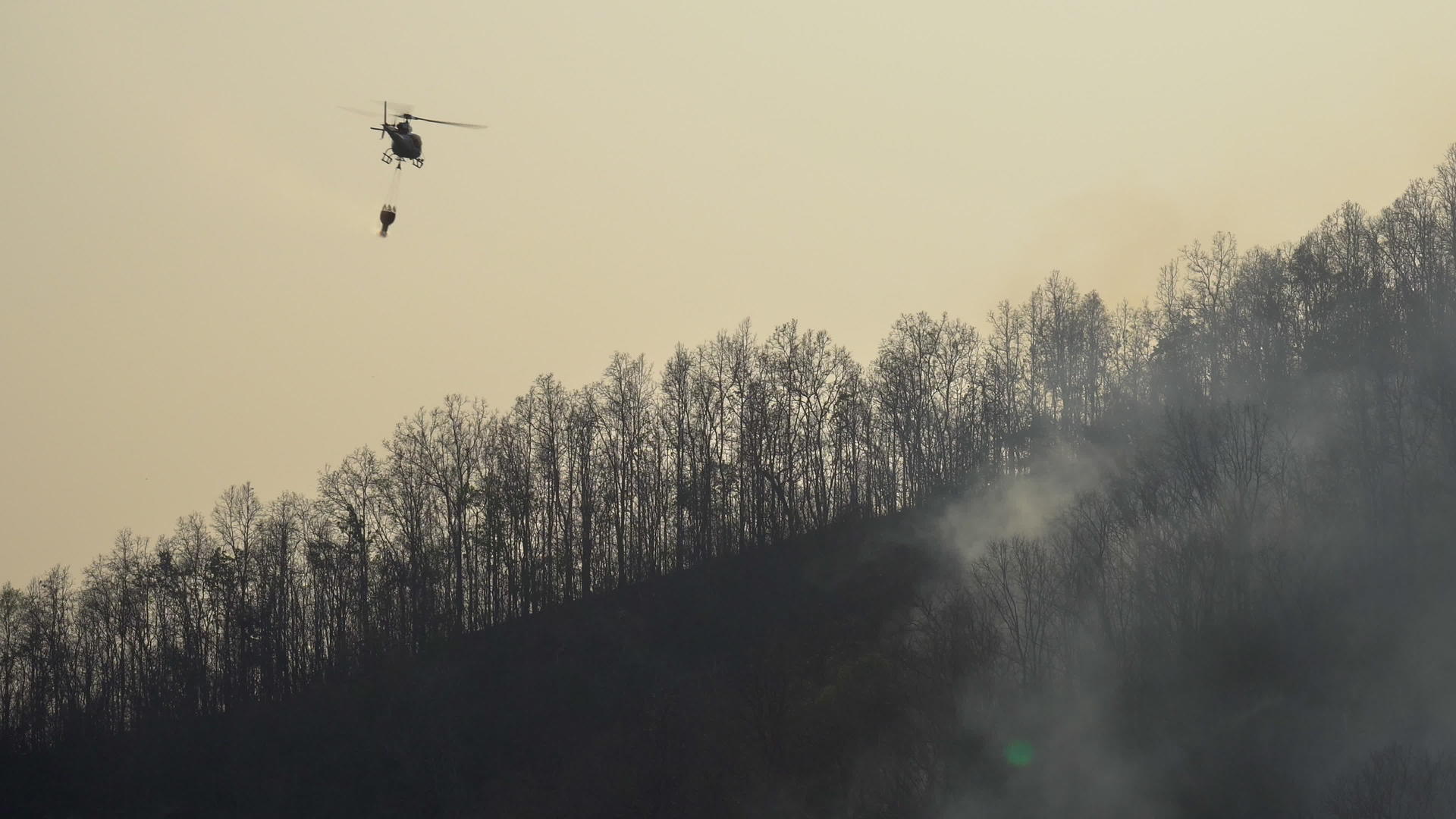 消防直升机从桶向森林纵火浇水视频的预览图