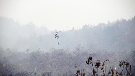 消防直升机从桶向森林纵火浇水视频的预览图