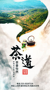 新茶上市宣传视频海报视频的预览图