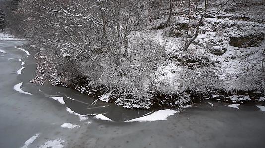 破碎的裸露的树木在寒冷的冬天从冰冻的水面上生长视频的预览图