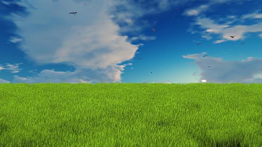 蓝天白云海鸥飞翔草地运动合成背景视频视频的预览图