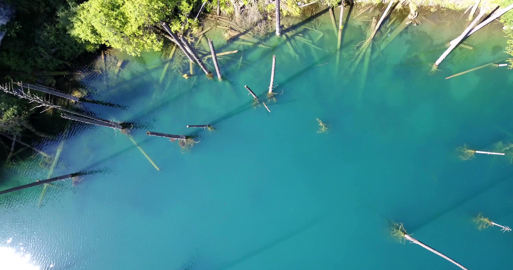 树木从山湖深处升起视频的预览图