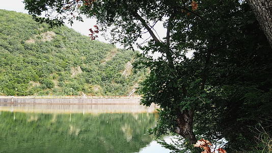 在平静的大坝湖中森林覆盖着山丘视频的预览图