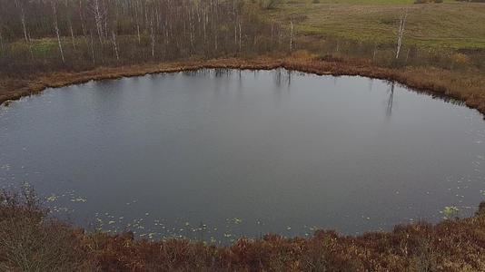 从无人机到秋天的一个小湖视频的预览图