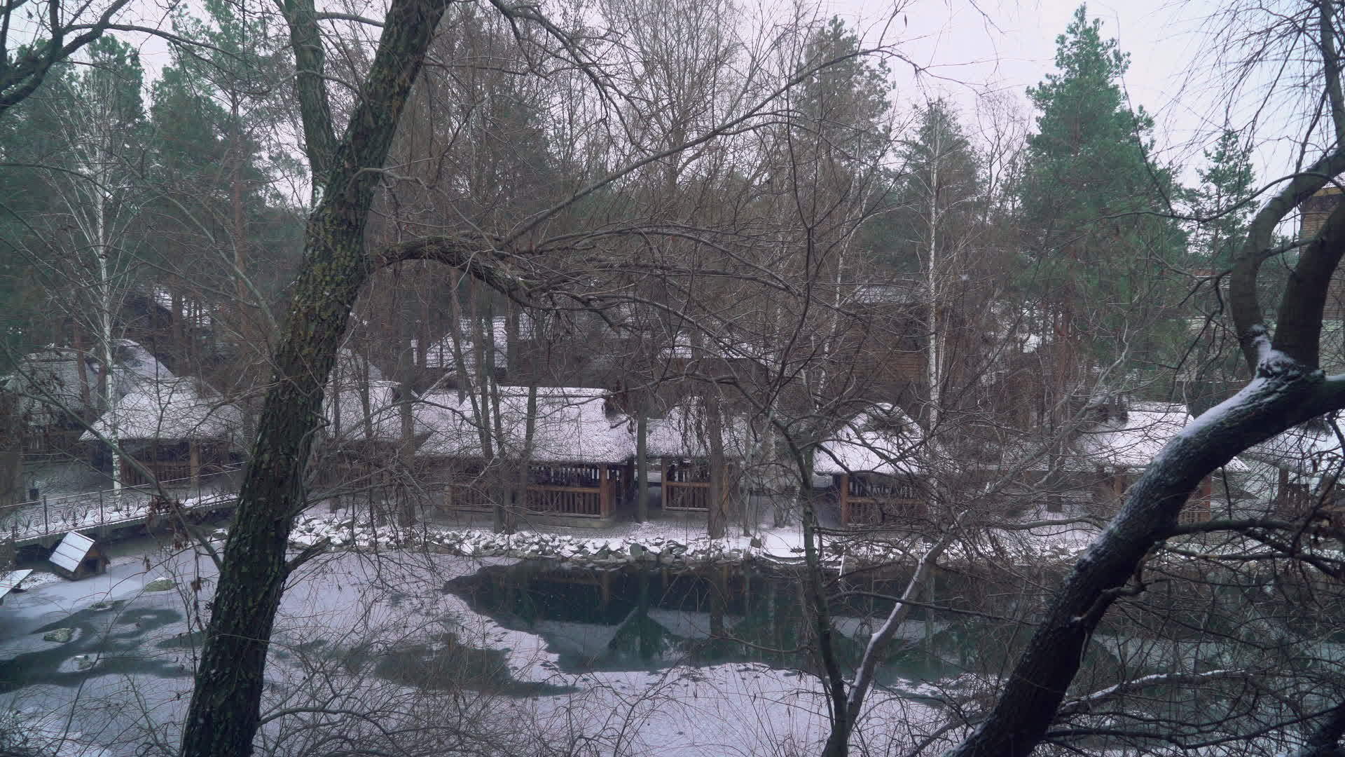 在乌克兰村的湖上下雪树木在湖边生长视频的预览图