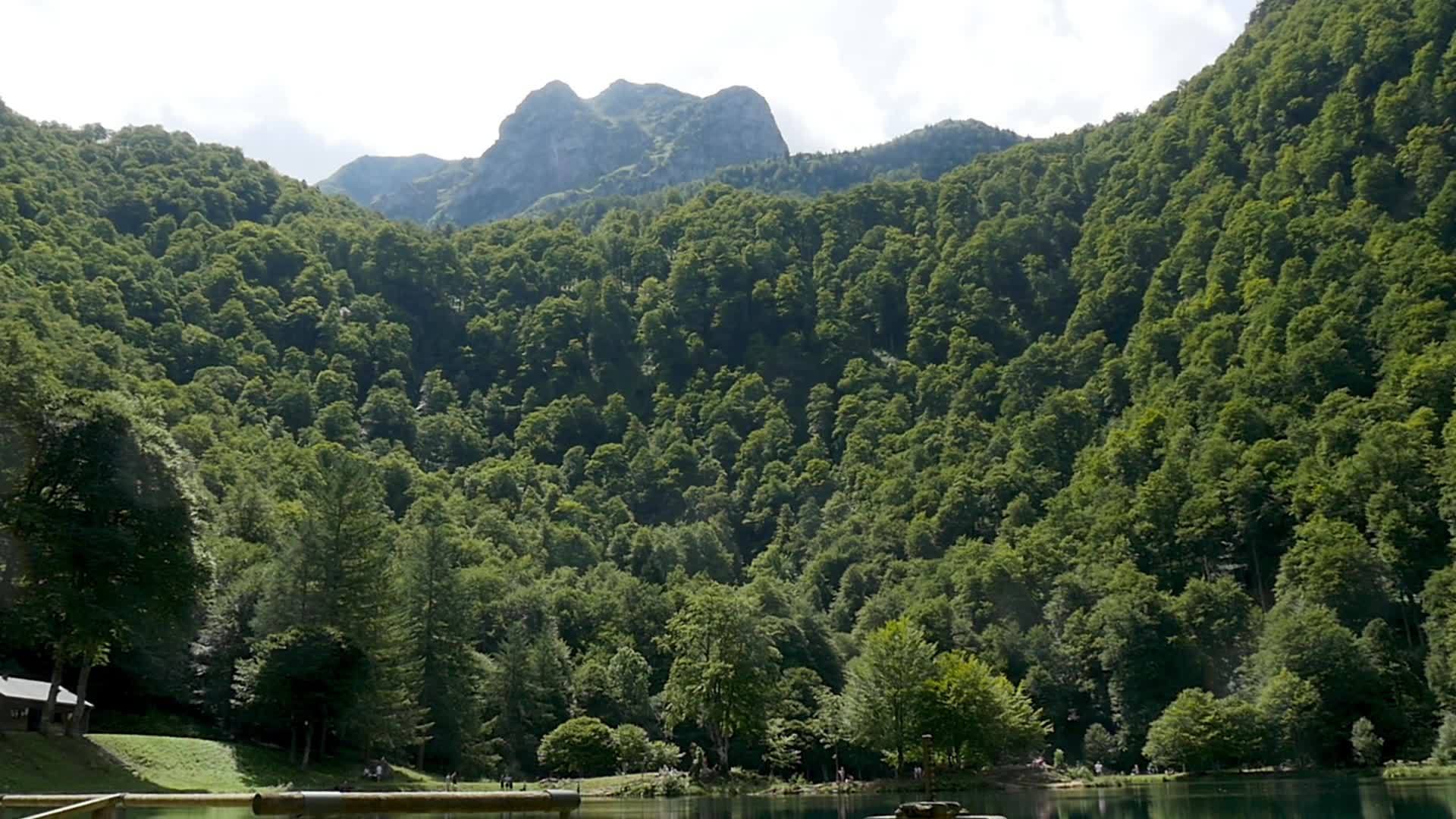 贝马氏病综合征在法国比利牛斯山脉视频的预览图