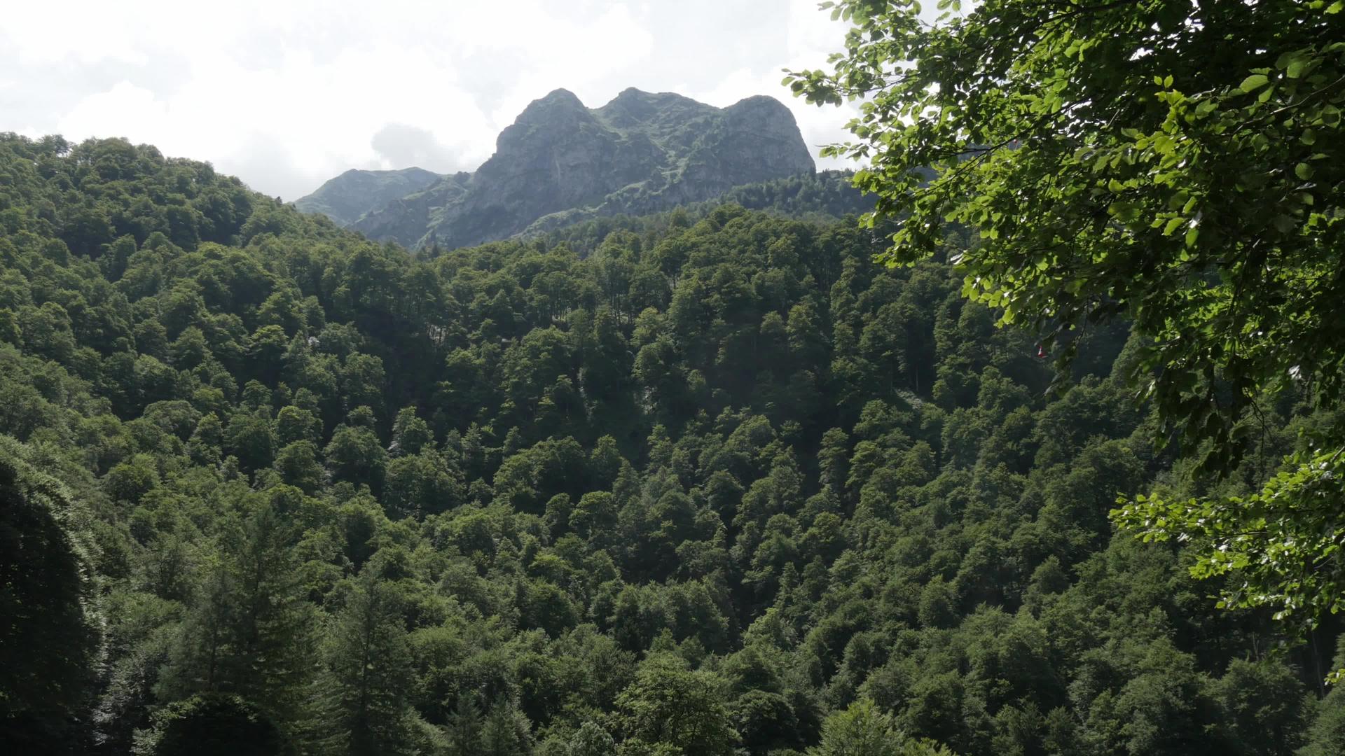 法国比利牛斯山法国比勒山脉视频的预览图