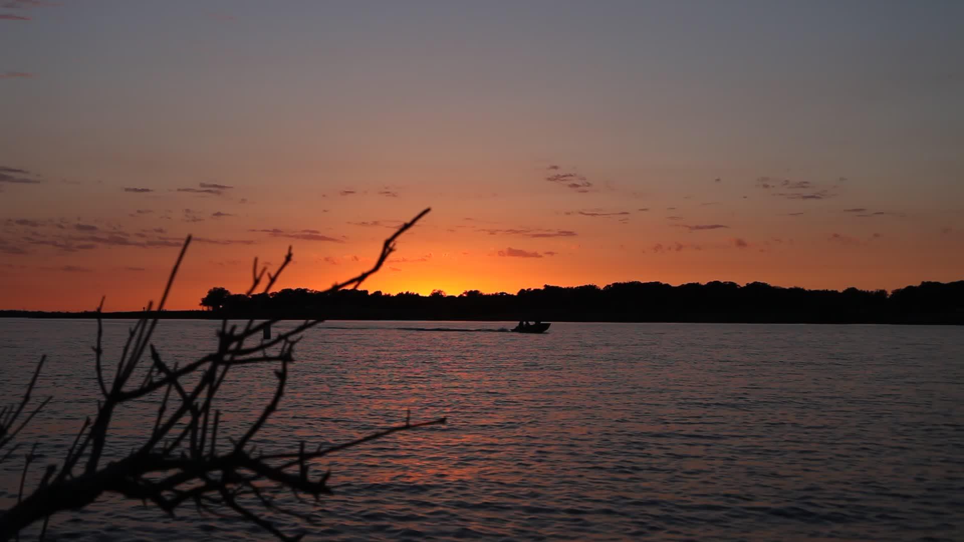 美丽的日落船在湖边的葡萄树上向左向右视频的预览图